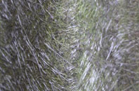 Pinkie Braes fibreglass roof work